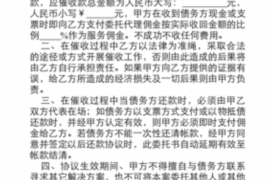 大安区为什么选择专业追讨公司来处理您的债务纠纷？